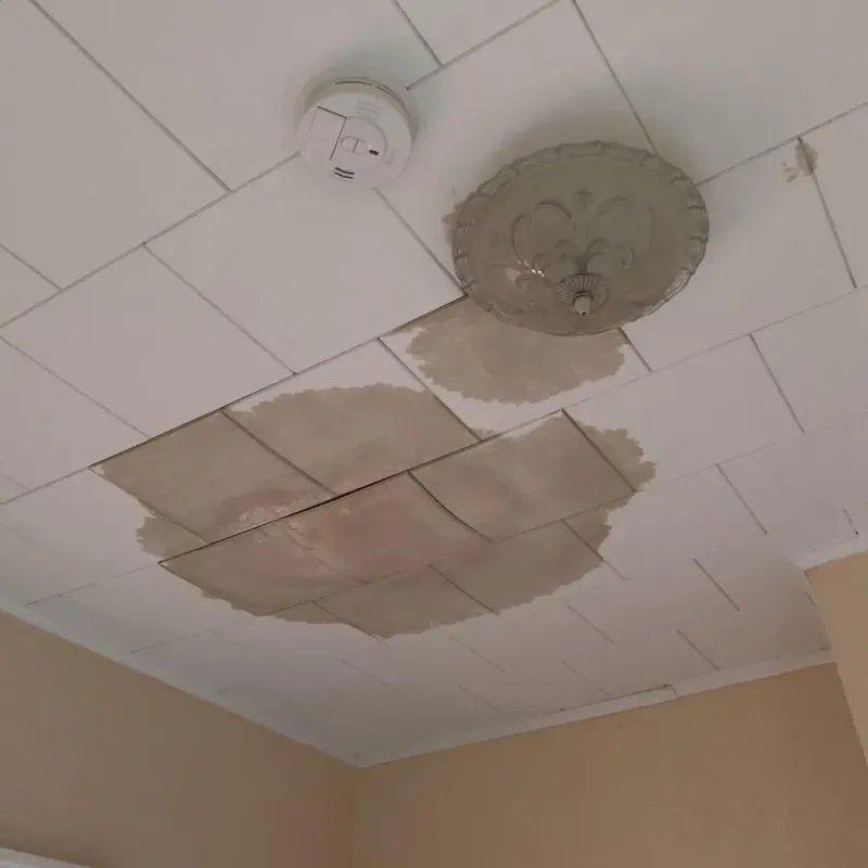Ceiling Water Damage Repair in Roosevelt Gardens, FL