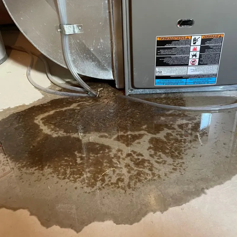 Pipe Burst and Leak Restoration in Roosevelt Gardens, FL
